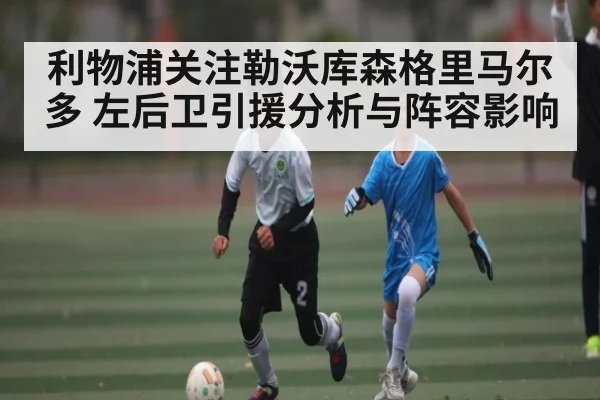 利物浦关注勒沃库森格里马尔多 左后卫引援分析与阵容影响